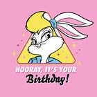 hooray its your birthday